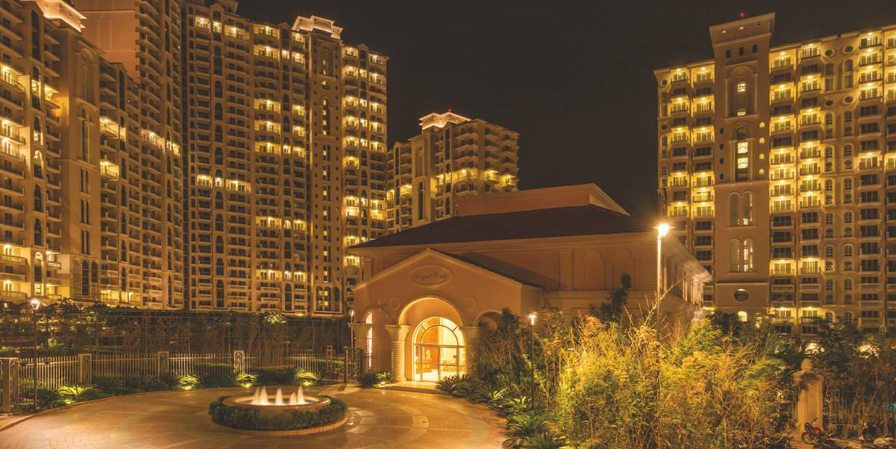dlf5.png